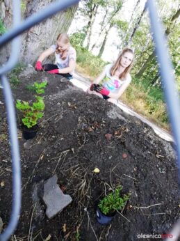 przystul pyska67169707_942165362811420_3342961372202795008_n-20190727