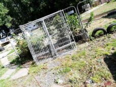 przystul pyska67179969_942165569478066_4337779667445481472_n-20190727