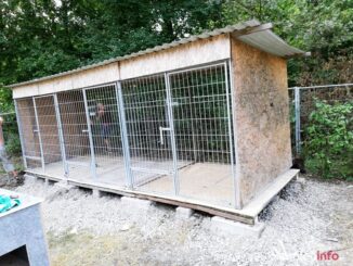 przystul pyska67407493_942165759478047_2315921158563692544_n-20190727