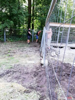 przystul pyska67758004_942165722811384_1056068810966040576_n-20190727