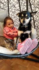 psy_czytelników_65393769_2112955468812897_3382006481804066816_n-20190702