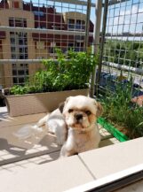 psy_czytelników_65502821_2558683874155785_2111176554280124416_n-20190702