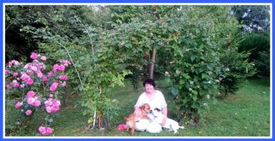 psy_czytelników_65926949_1118095948383032_1717011265039106048_o-20190702