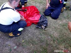 straz_sarna_67326667_1370066133142760_3179639768984059904_n-20190728