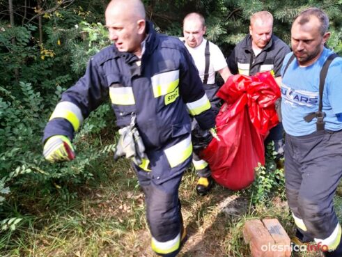 straz_sarna_67597597_1370066079809432_6195005933773389824_n-20190728