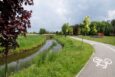 Kolejny głos w sprawie łąk w Oleśnicy. Powstanie Kwietna Promenada?