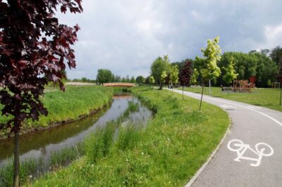 Kolejny głos w sprawie łąk w Oleśnicy. Powstanie Kwietna Promenada?