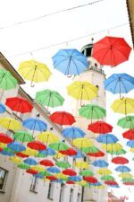 OFCA_2019_DSC_0431-20190809