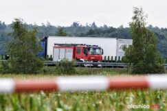 S8_proba_sam_DSC_1314-20190813