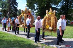 dożynki_dobra68271309_2390535017902213_6179078696096235520_o-20190816