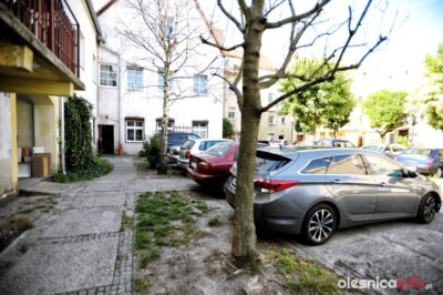 Czy drzewa zostaną wycięte, bo zostały celowo uszkodzone?