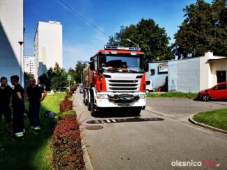 straż_klonowaIMG_20190829_102606-004