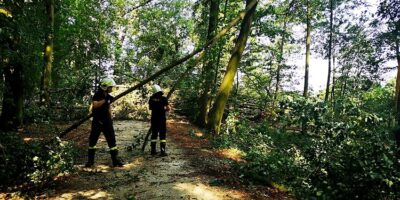 Syców sprząta po wtorkowej nawałnicy