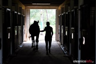 wietrzna_stajnia_DSC_2107