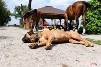 wietrzna_stajnia_DSC_2137