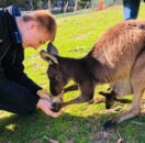 zdjęcia_czytelników67731052_2295441883902789_6053985703425998848_n-20190819