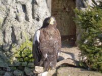 zdjęcia_czytelników68455426_2263816460595506_3756777798975356928_n-20190819