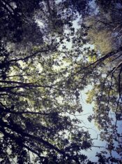 zdjęcia_czytelników68599119_2009879202446618_4410176791533060096_n-20190819