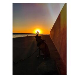 zdjęcia_czytelników68624227_3509316705760976_9182226353238310912_n-20190819