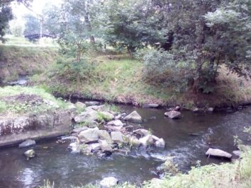 zdjęcia_czytelników68688502_2321560317965631_5766556080976953344_o-20190819