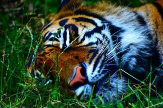 zdjęcia_czytelników68782084_1851029598376866_1022463925985214464_o-20190819