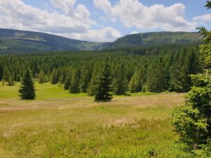 zdjęcia_czytelników68999775_2031141913652750_1730116893886382080_o-20190819