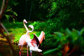 zdjęcia_czytelników69489153_10216885752193545_568104811824676864_o-20190819