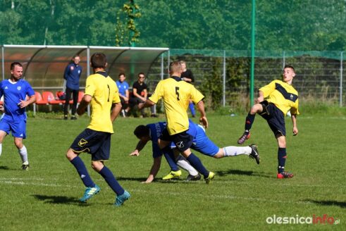 APO_Piorun_Koniowo_DSC_7266-20190915