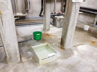 atol_zaniedbania70602524_1222173824632089_2819285660593029120_n-20190925