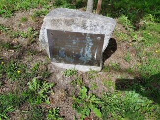 atol_zaniedbania70980770_516529879149215_5853935339483168768_n-20190925