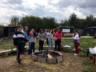 Pracowity dzień w azylu Oleśnickich Bid