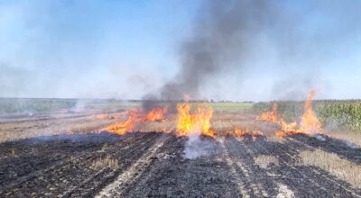 Palą się baloty słomy pod Stronią