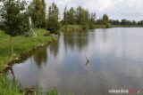 stawy_DSC_7547