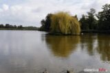 stawy_DSC_7548