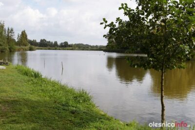 Rzecznik rządu. Drugi etap znoszenia obostrzeń w pierwszej połowie maja
