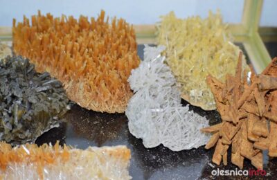 Tajemniczy świat minerałów – wystawa w Galerii 56