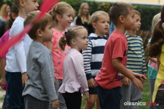 zielona żabkaDSC_6497-20190913