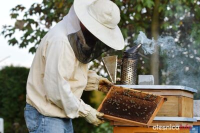 Miód wielokwiatowy od Gutka najlepszy w regionie