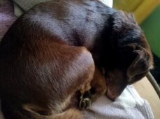 psy72845025_2971348709559571_1031692934530990080_o (1)-20191027