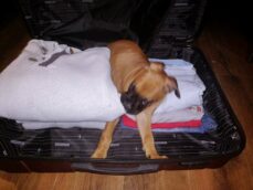 psy72870810_2466446213392111_1391040431436857344_o-20191027