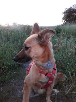 psy72891083_2384017928377754_1316646302175461376_n-20191027