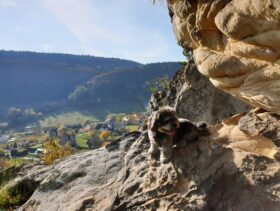 psy72900791_1175837645941264_2126247289579110400_o-20191027