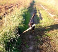 psy72944052_2508072215944159_4742606573048692736_o-20191027