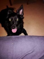 psy72999352_2145055755797718_7285618960542728192_n-20191027