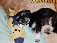 psy73032730_481470895778293_53654775866064896_o-20191027