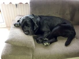 psy73212336_2506512442774811_1826075461235507200_o-20191027