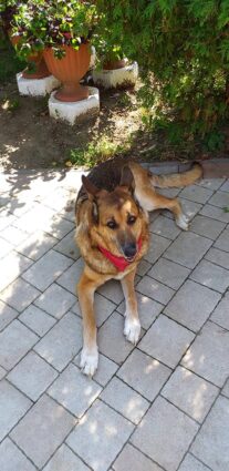 psy73237342_2477879595825372_8127407317625864192_o-20191027