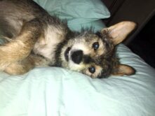 psy73324306_1834327770046087_8006694190870167552_n-20191027