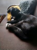 psy73388352_814583288976322_1407523098579697664_n-20191027