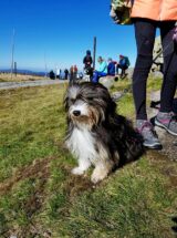 psy74224169_2586513201396029_7514128460688654336_n-20191027